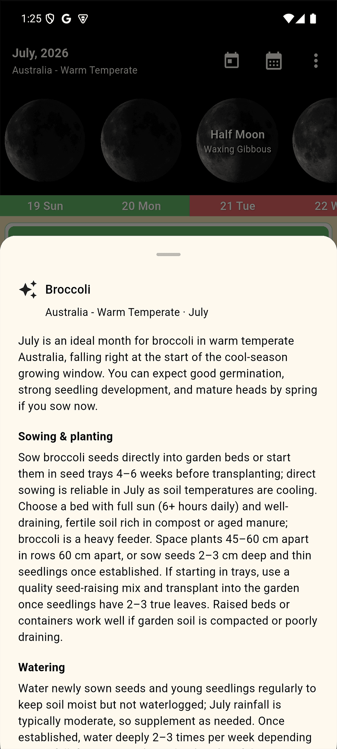 AI growing tips for broccoli in Australia, Warm Temperate, in July